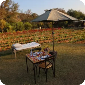 Outdoor breakfast setup beside organic farm under shaded umbrella